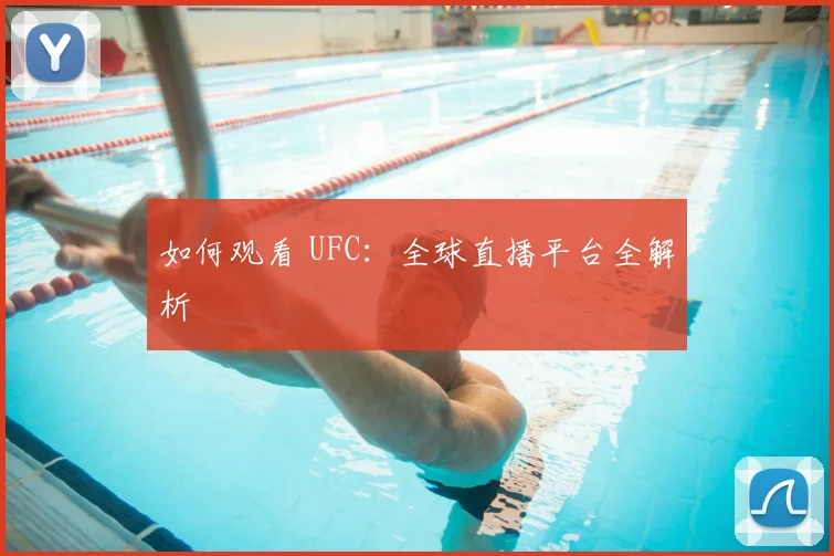 篮球明星社交媒体影响力排行榜_20260523113637
