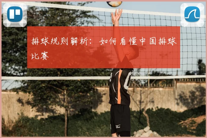 排球规则解析：如何看懂中国排球比赛