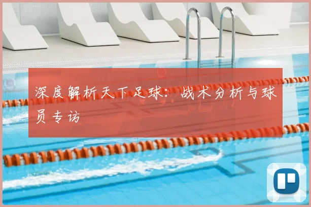 深度解析天下足球：战术分析与球员专访